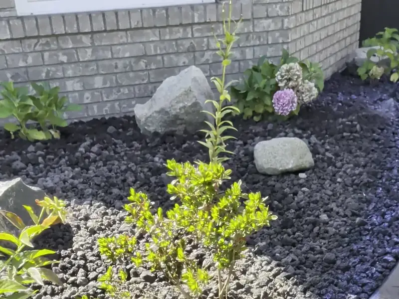 A refreshed garden bed with fresh dark rock and a clean curb line after an Ironwood Grounds bed refresh