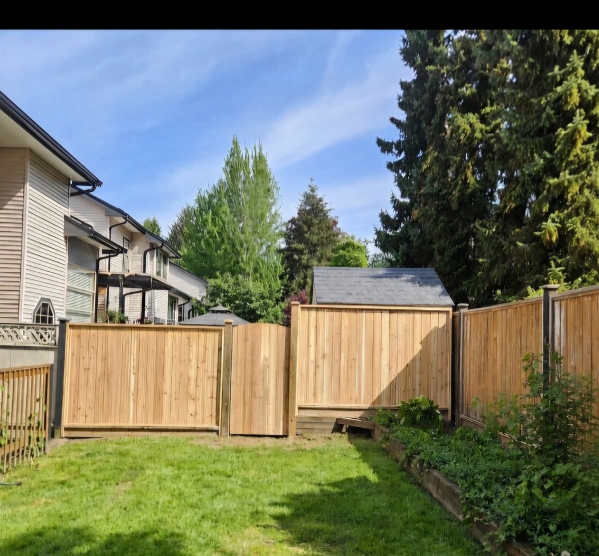 The backyard after a new western red cedar fence was installed