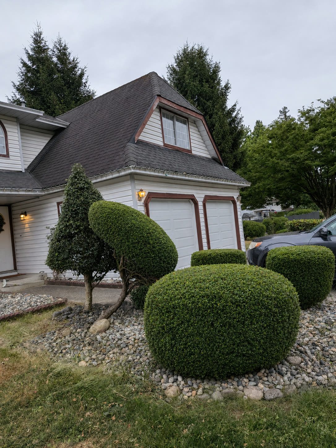 Sculpted hedge and topiary grounds care